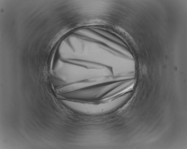 X0000072981457200608211337