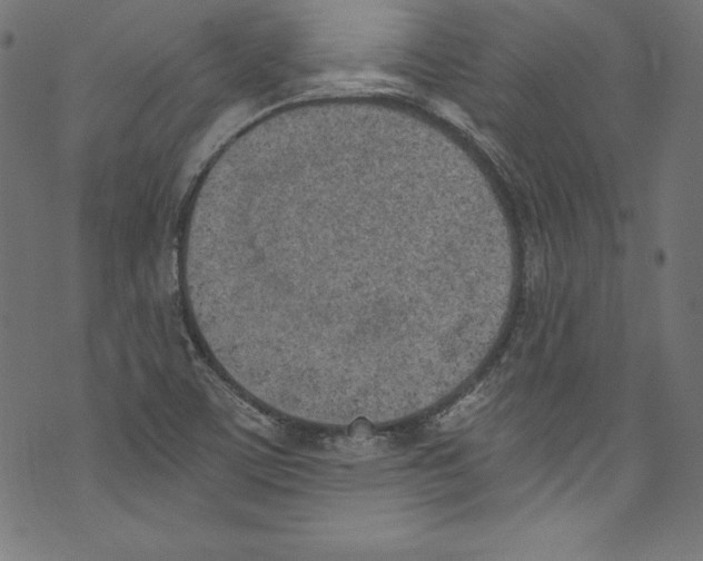 X0000072981459200608211337