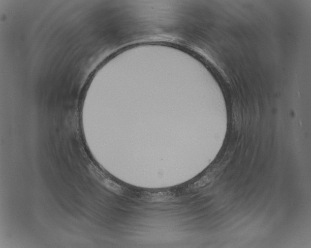 X0000072981460200608211337