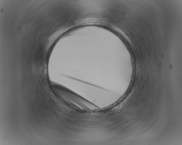 X0000072981461200608211337