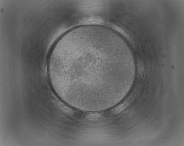 X0000072981462200608211337