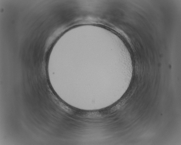 X0000072981464200608211337