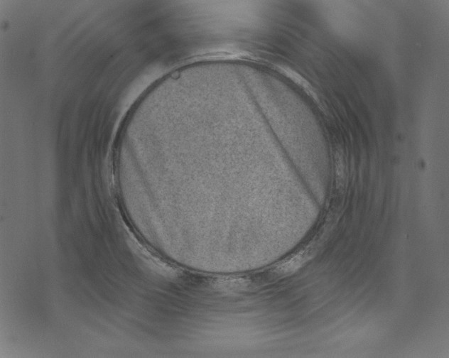 X0000072981466200608211337