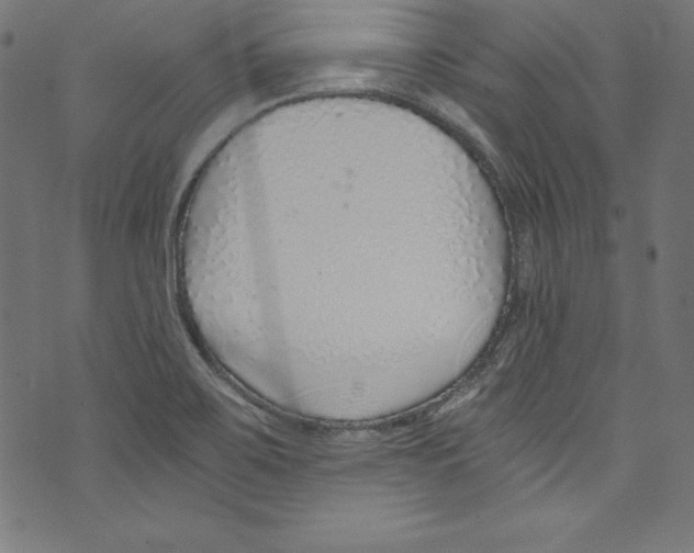 X0000072981467200608211337