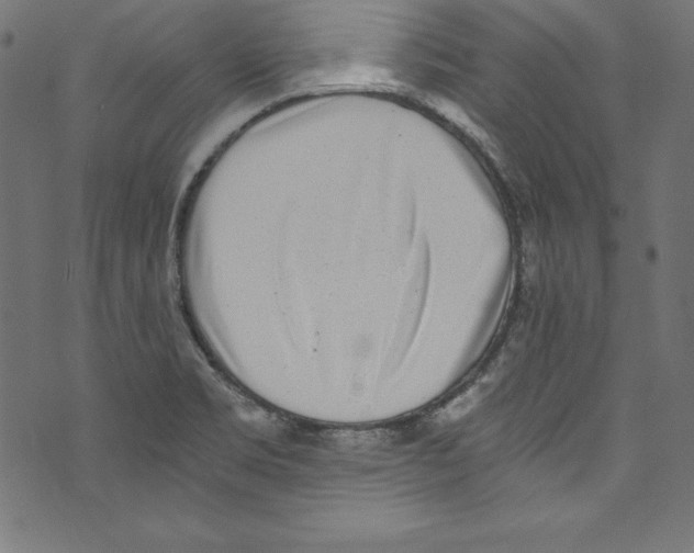 X0000072981469200608211337