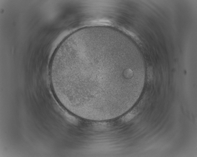 X0000072981470200608211337