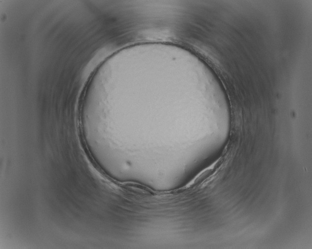 X0000072981471200608211337