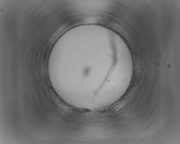 X0000072981473200608211337