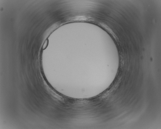 X0000072981475200608211337