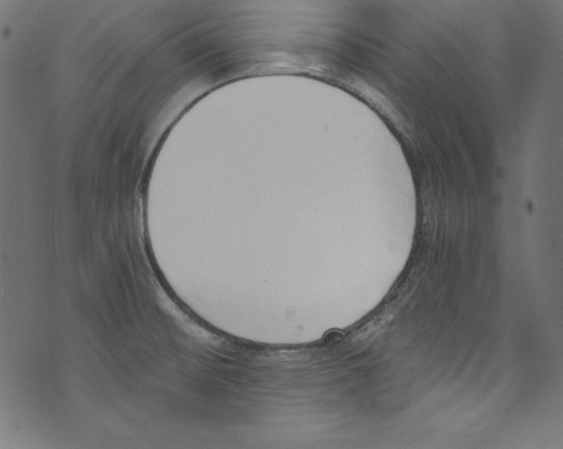 X0000072981476200608211337