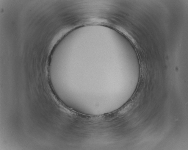 X0000072981477200608211337