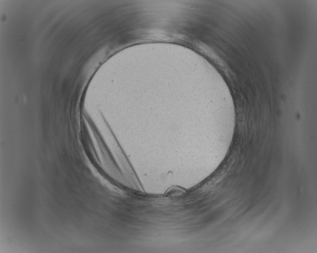 X0000072981479200608211337