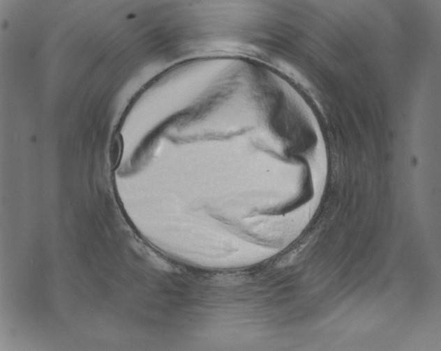 X0000072981480200608211337