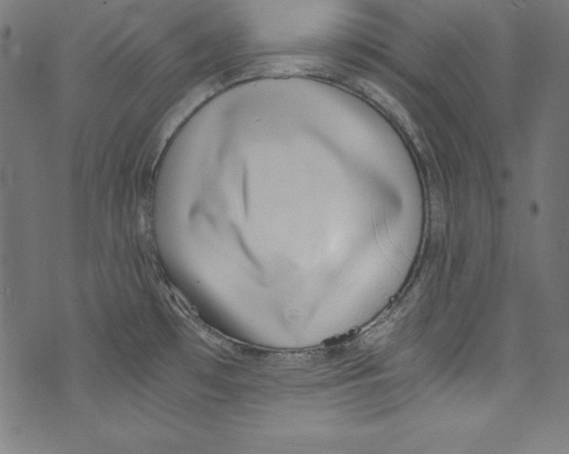 X0000072981481200608211337