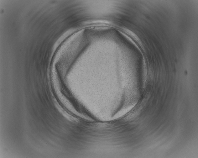 X0000072981482200608211337