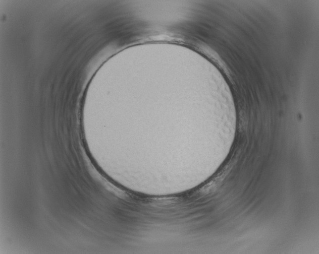 X0000072981483200608211337