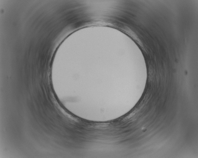 X0000072981484200608211337