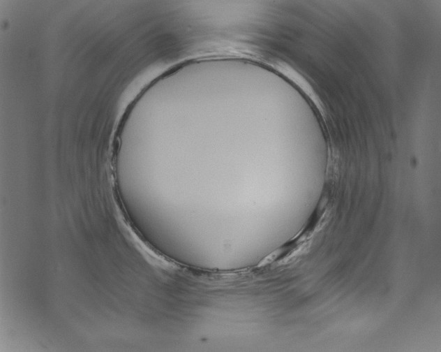 X0000072981485200608211337