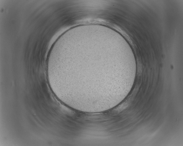 X0000072981486200608211337