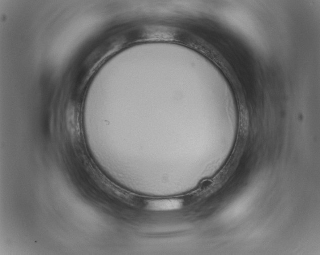 X0000072981487200608211337