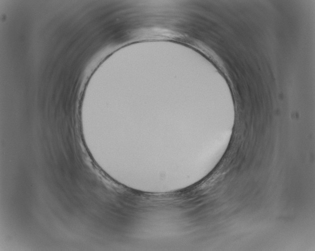 X0000072981488200608211337