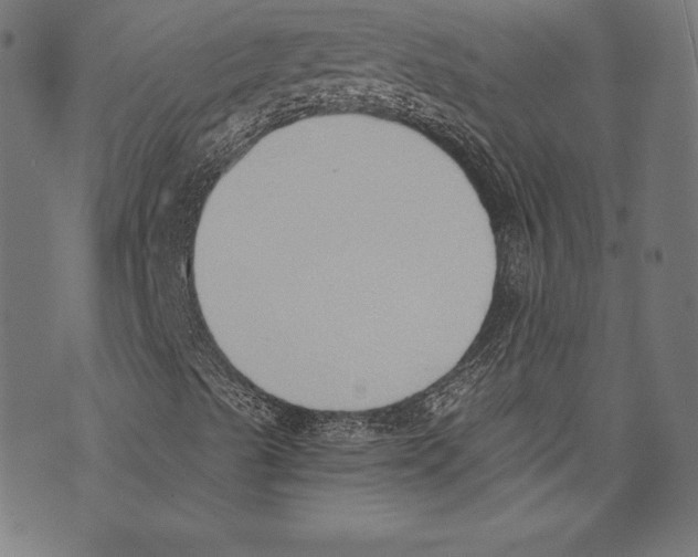 X0000072981489200608211336