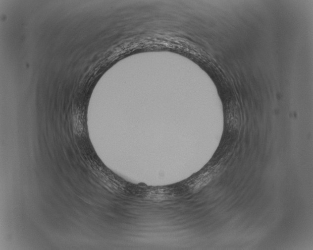 X0000072981490200608211336