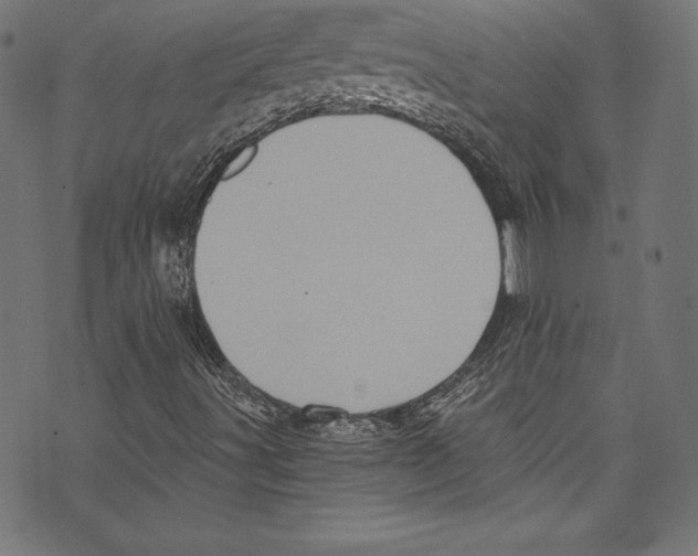 X0000072981491200608211336