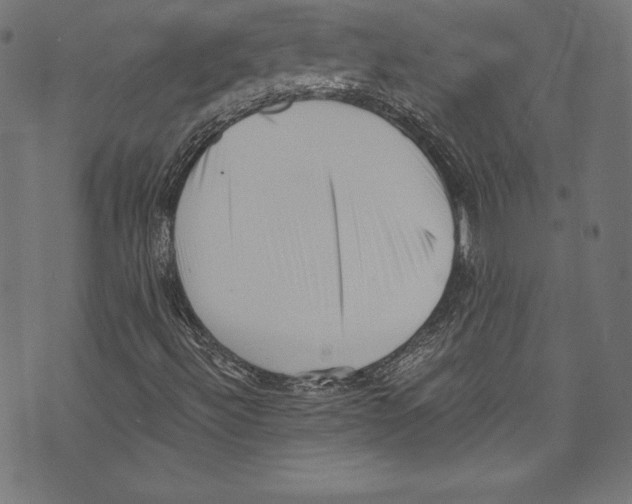 X0000072981492200608211336