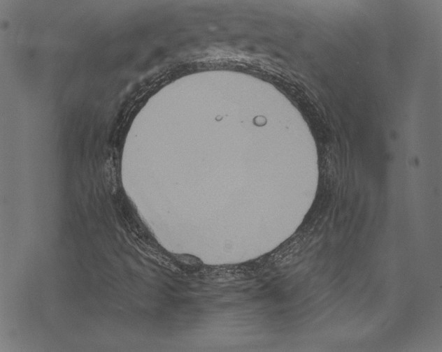 X0000072981493200608211336