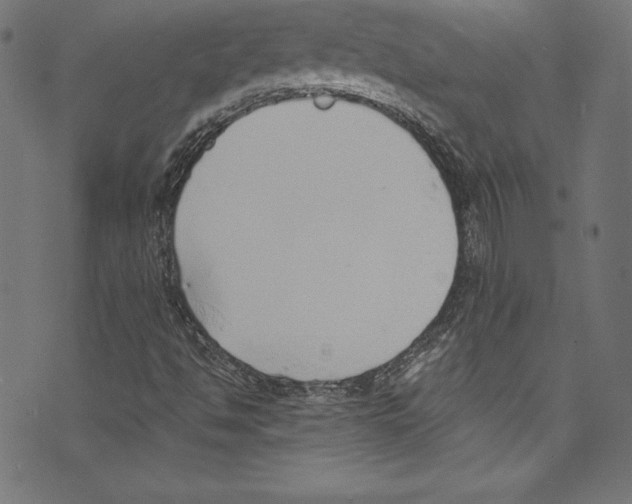 X0000072981494200608211336