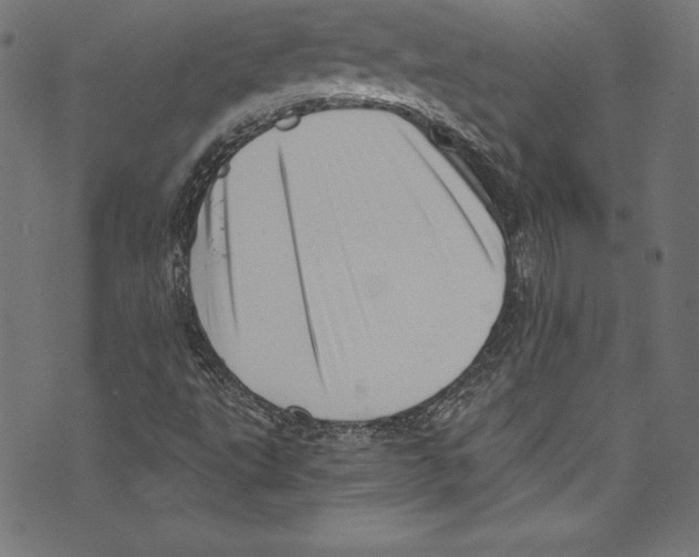 X0000072981495200608211336