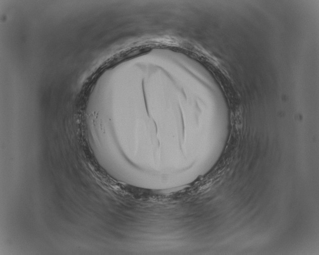 X0000072981496200608211336