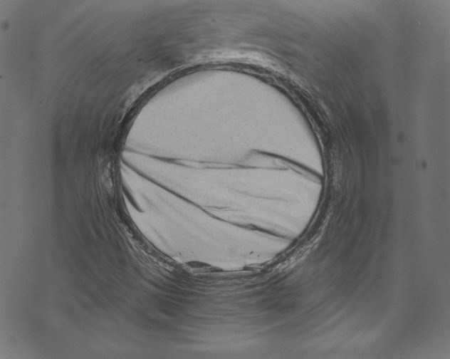 X0000072981497200608211336