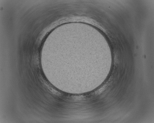 X0000072981498200608211336