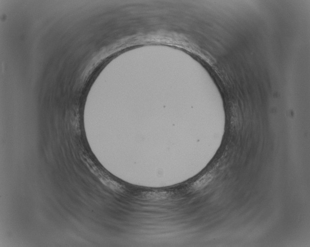 X0000072981499200608211336