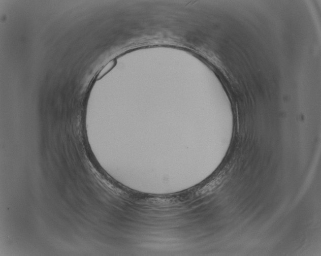 X0000072981500200608211336