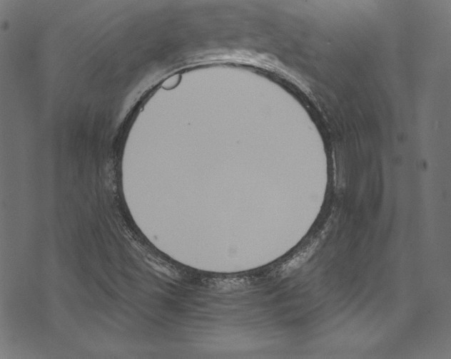 X0000072981501200608211336