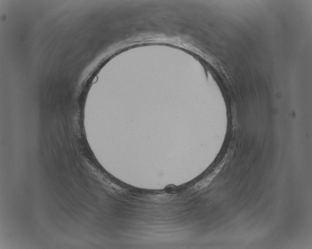 X0000072981502200608211336