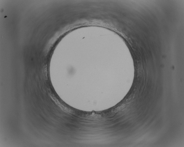 X0000072981503200608211336