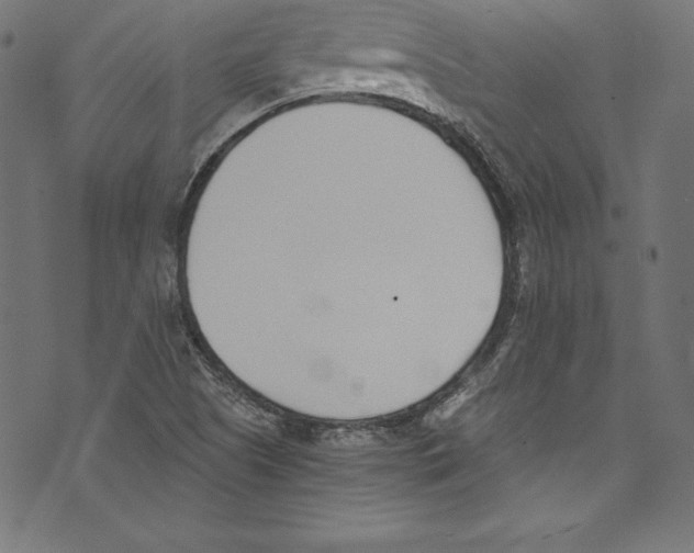 X0000072981505200608211336