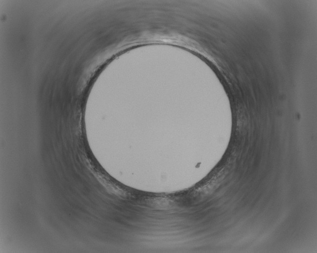 X0000072981507200608211337