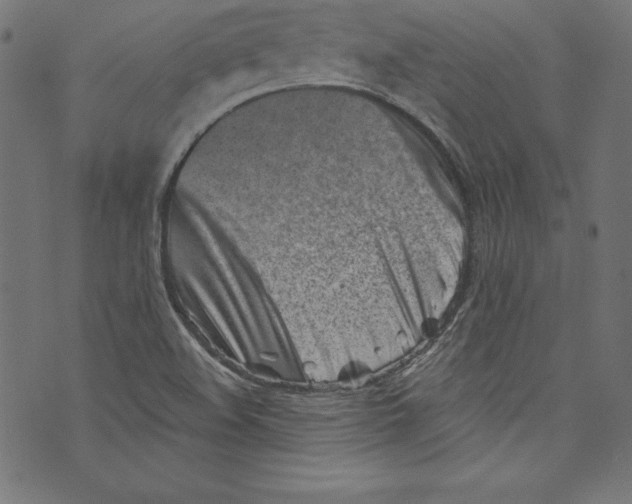 X0000072981508200608211337