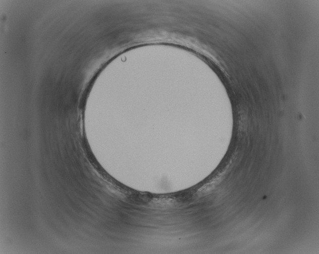 X0000072981509200608211337