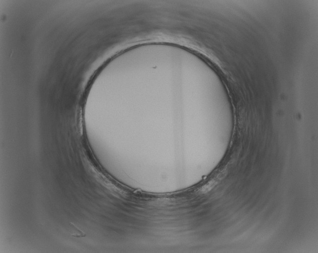 X0000072981510200608211337