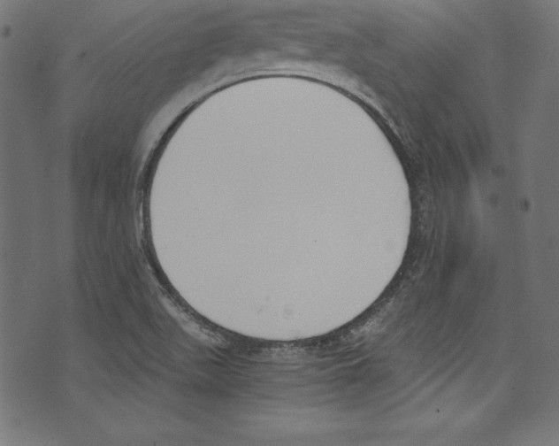 X0000072981511200608211337