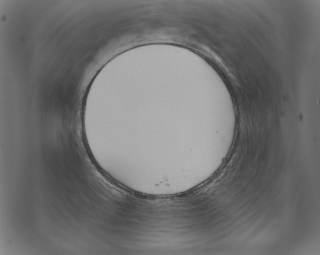 X0000072981512200608211337