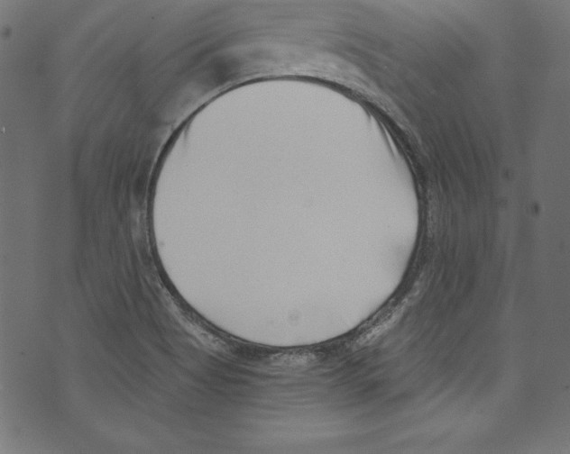 X0000072981513200608211337