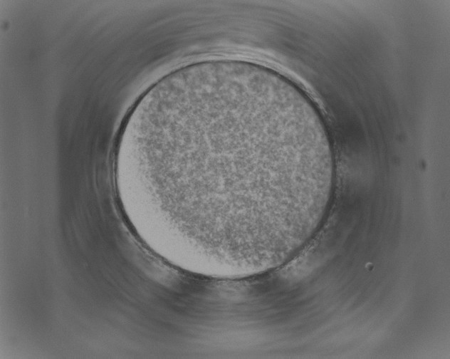 X0000072981514200608211337