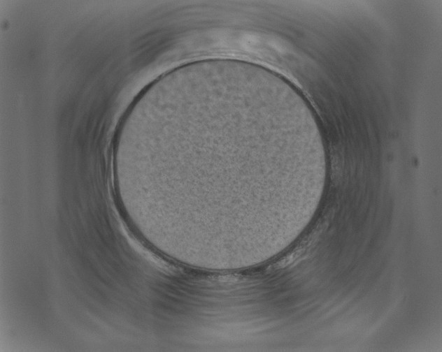 X0000072981515200608211337